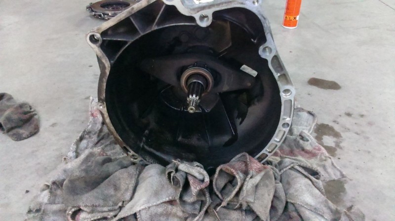 IMAG0532.jpg
