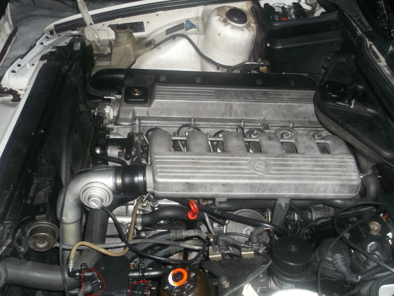 DSCF1468.jpg