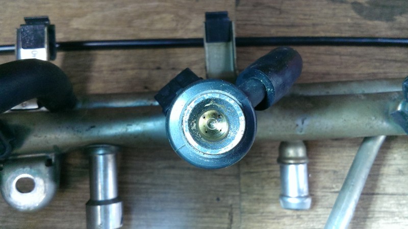 IMAG0584.jpg