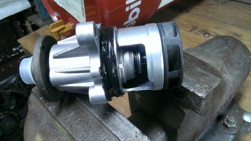 IMAG0635.jpg
