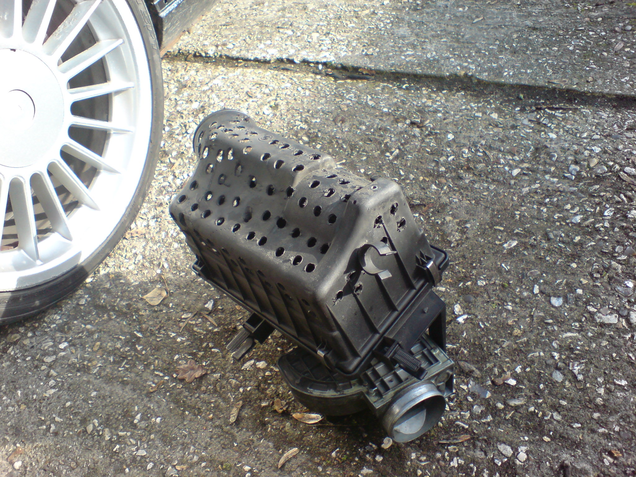 DSC08107.JPG