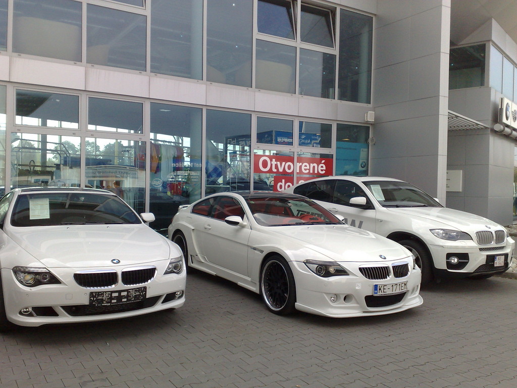 11102008017.jpg