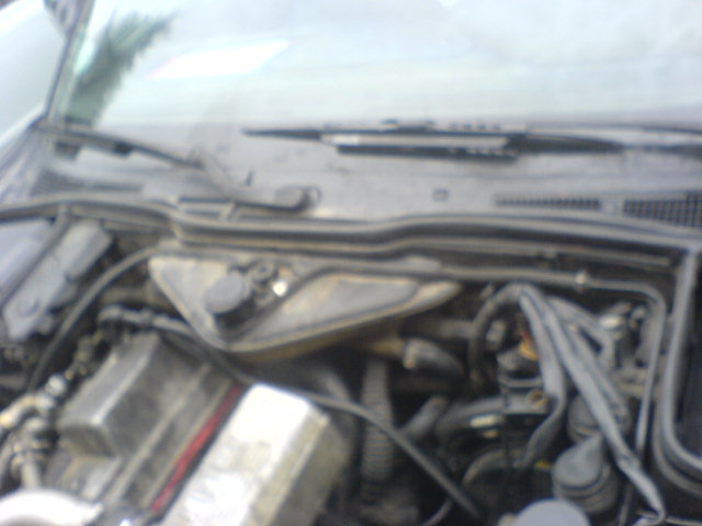DSC00721.JPG