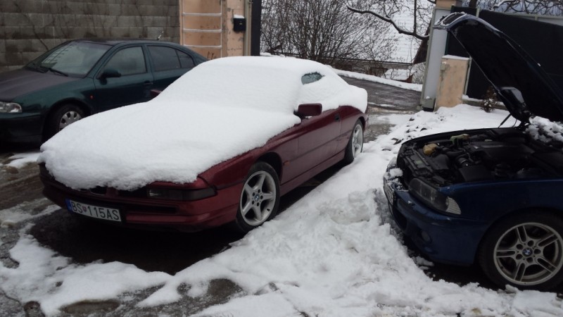 20150402_102702.jpg