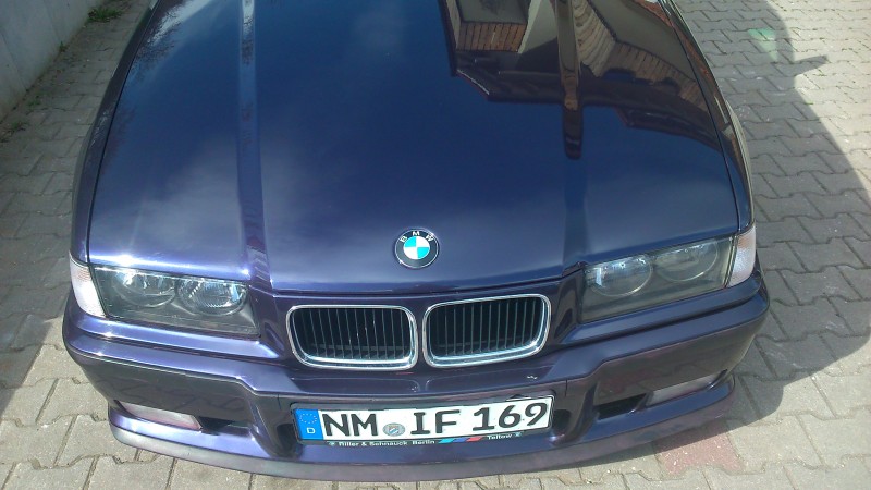 DSC_1206.JPG