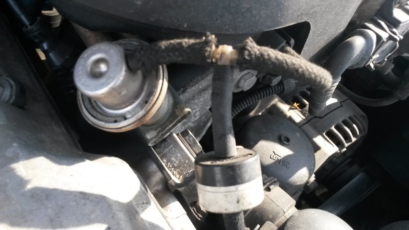 20150409_155728.jpg