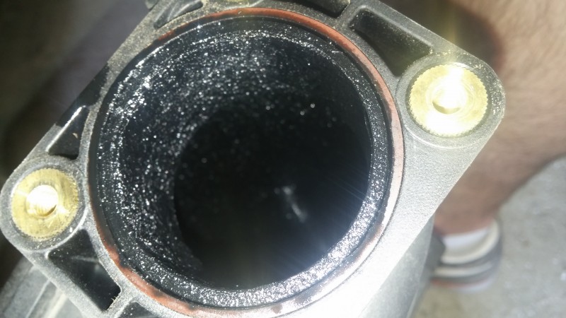 20150425_121052.jpg