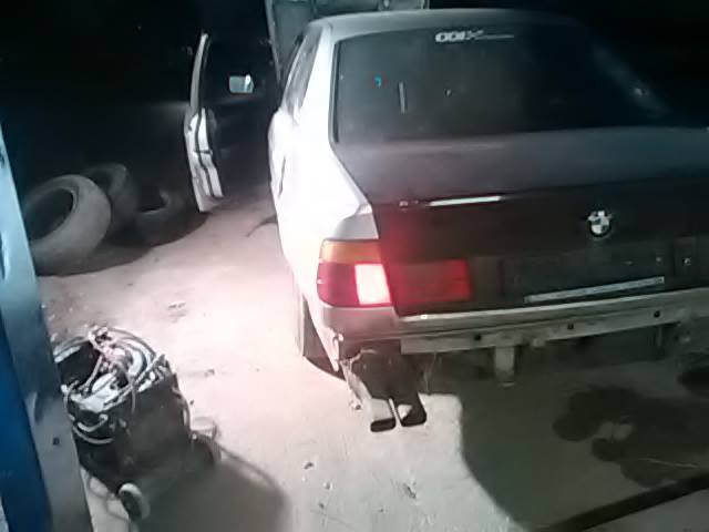 11091250_10203898623238229_484502160_n.jpg
