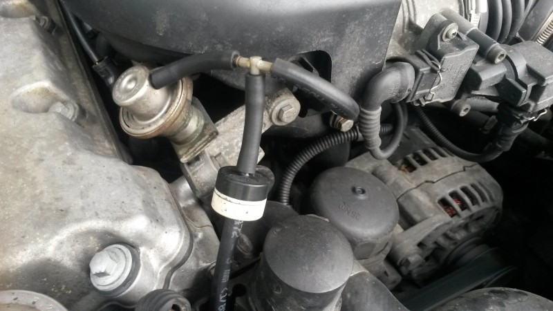 20150428_105233.jpg