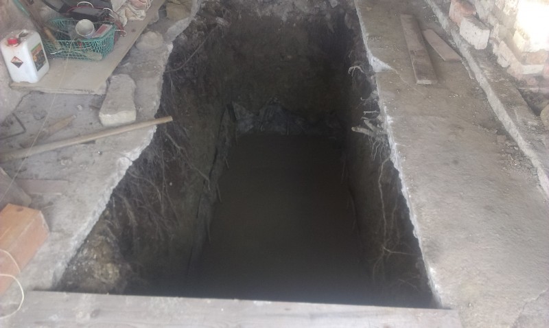 IMAG0353.jpg