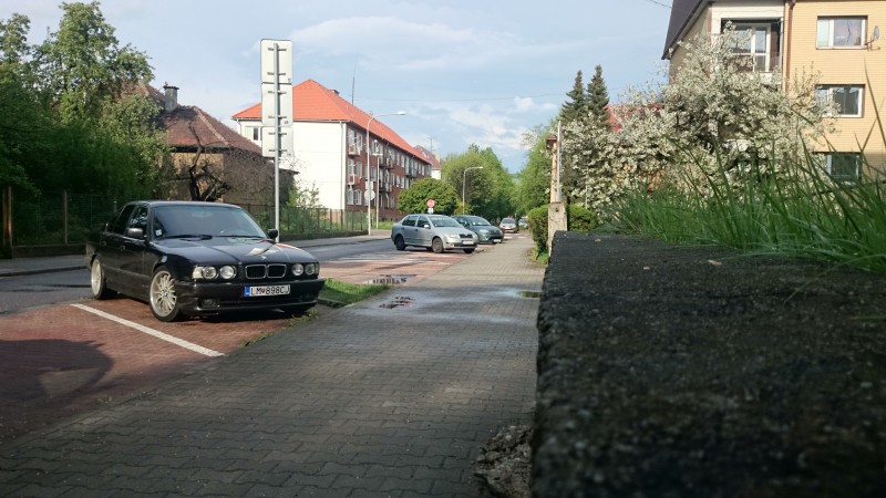 DSC_2093.JPG