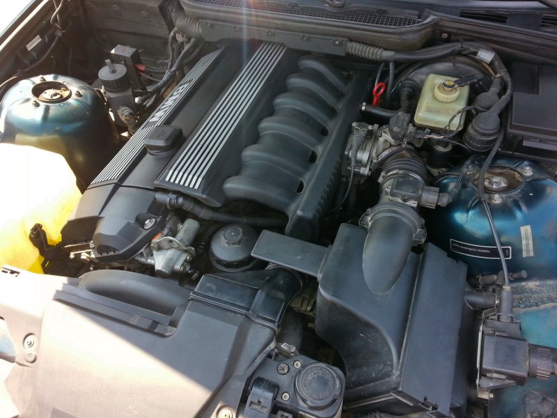 20150529_110108.jpg