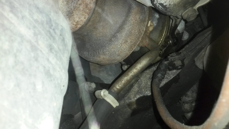 20150531_130514.jpg