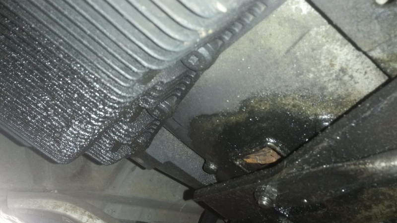 20150531_125912.jpg