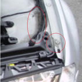 Detail.JPG