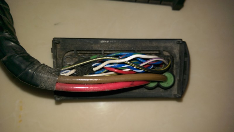 IMAG0186.jpg