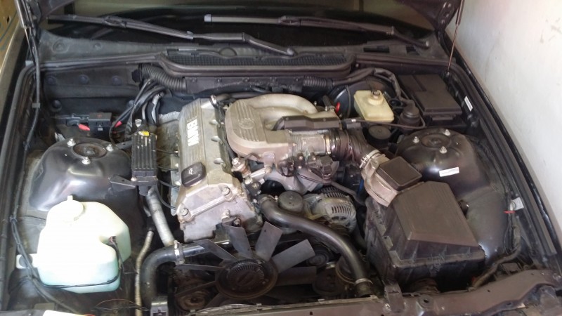 20150725_114258.jpg