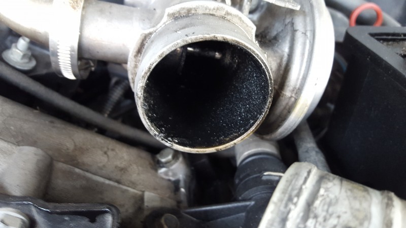 20150827_145813.jpg