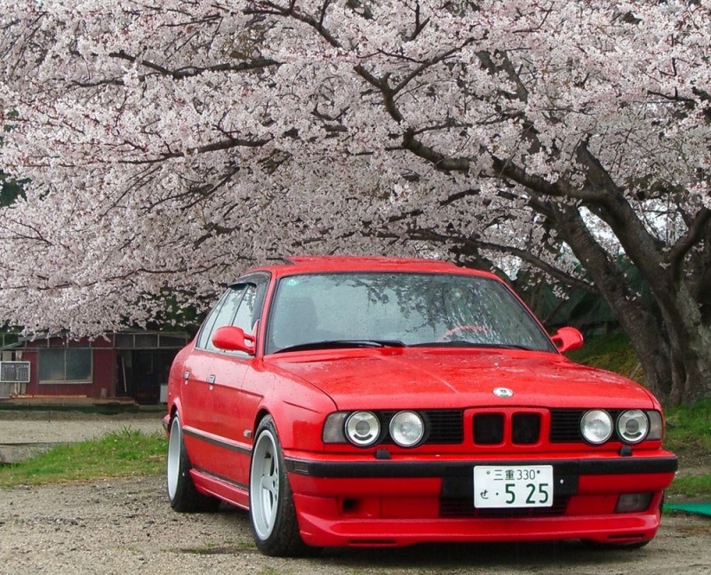 06sakura77.jpg