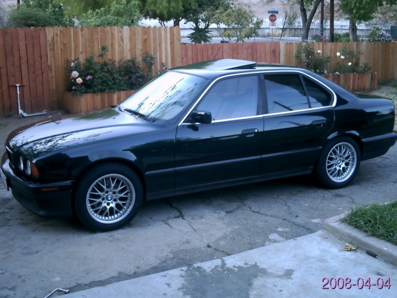 PICT0299.jpg