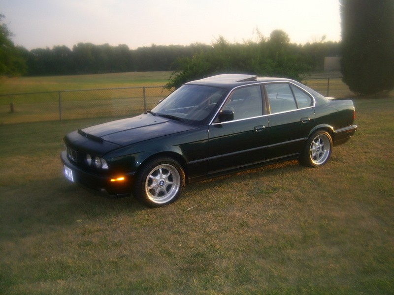 S4020026-1.jpg