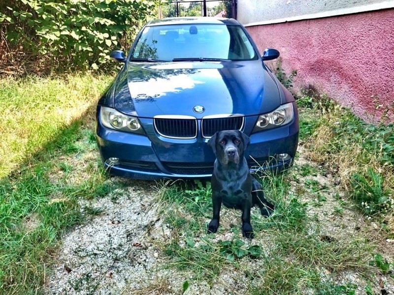 bmw3.jpg