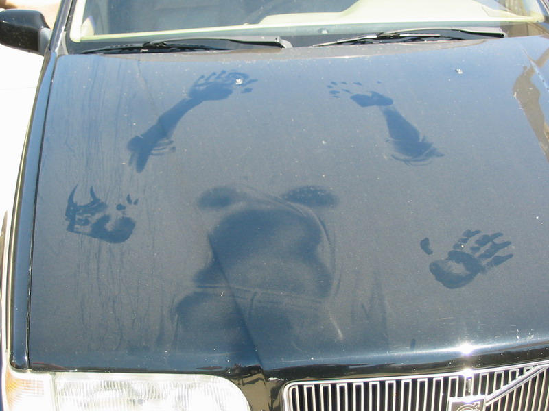 Ojete auto.jpg