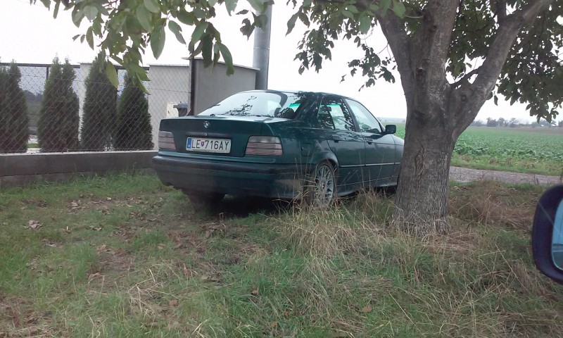 20151019_104902.jpg