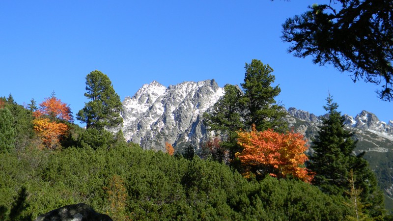DSCN8378.JPG