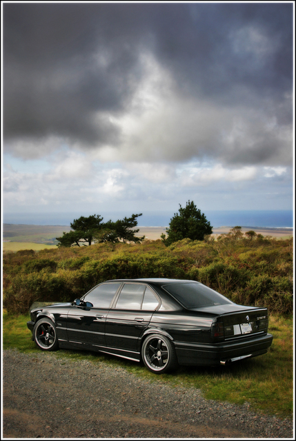 540igreatpictd0.jpg