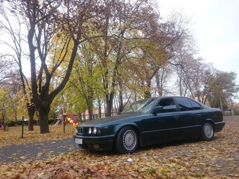 DSC_0028.JPG