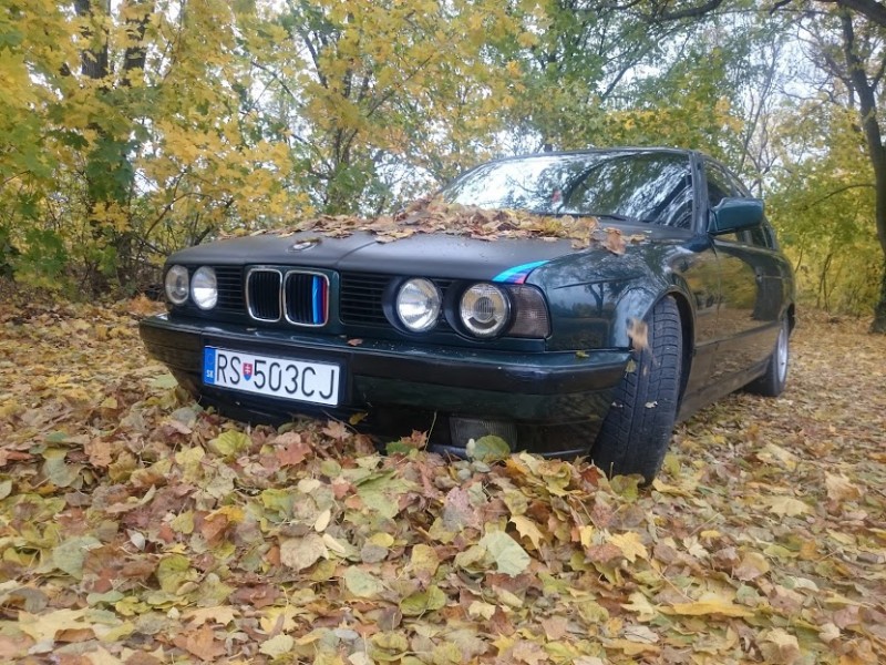 DSC_0037.JPG