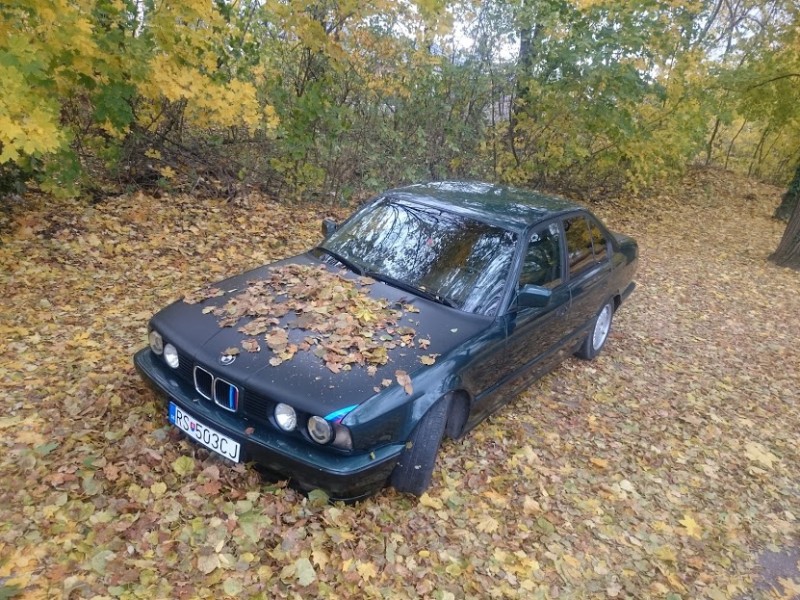 DSC_0038.JPG