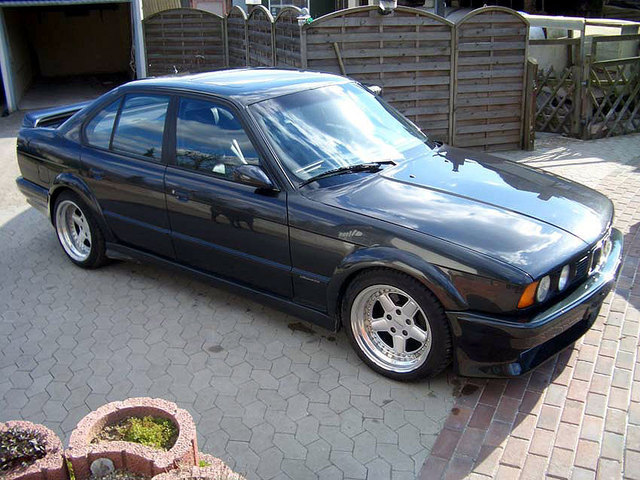 acs51yf0.jpg