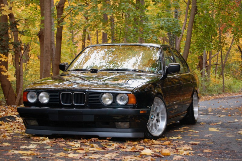 FallShoot34.jpg