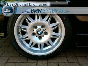 528628_bmw-syndikat_bild_high.jpg