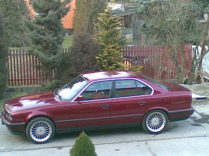 alpina1.jpg