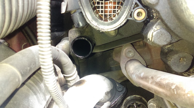 IMAG0391.jpg (1.44 MiB) 1257 zobrazení IMAG0391.jpg