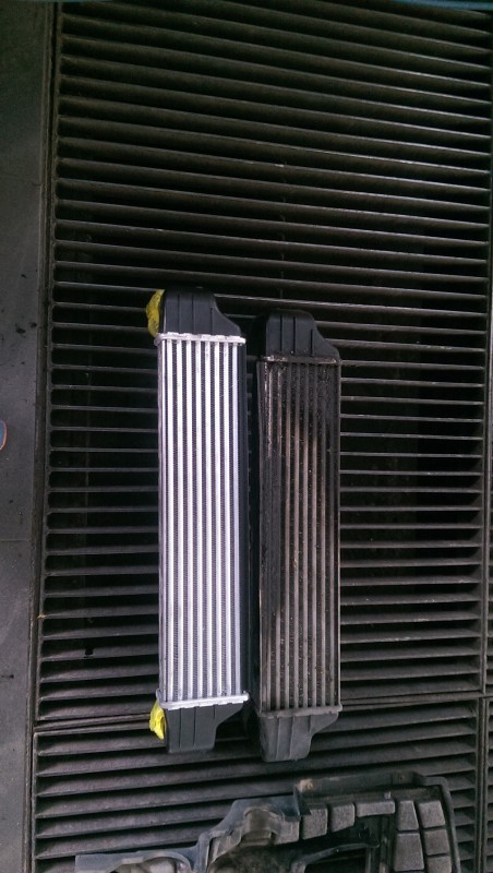IMAG4753.jpg