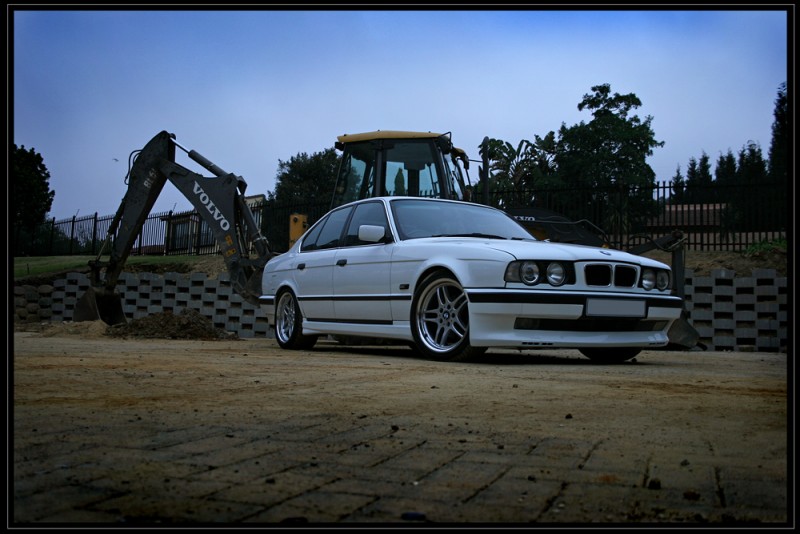 img2165resizebk8.jpg