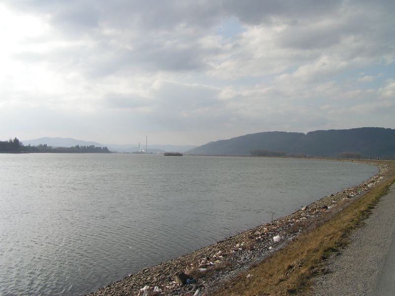 PICT6490.JPG