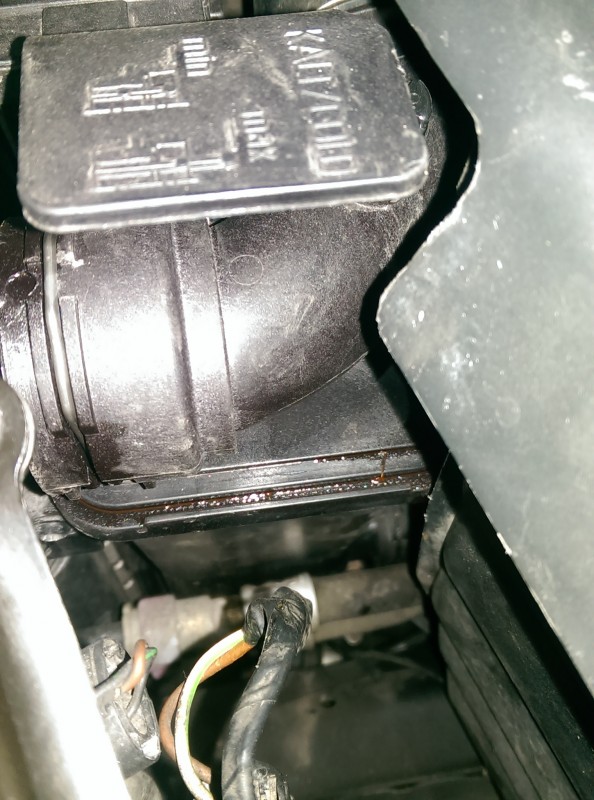 IMAG0797.jpg