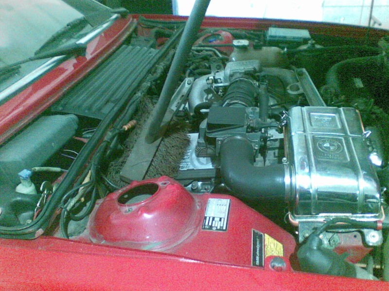29032009(005).jpg