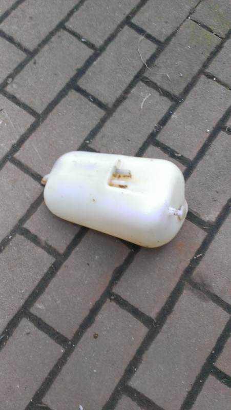 IMAG1504.jpg