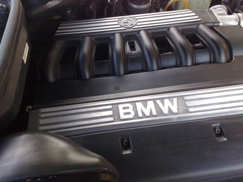 25032009508.jpg