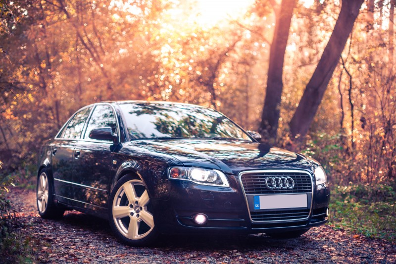 IMG_5050-Edit-2.jpg (2.54 MiB) 1853 zobrazení IMG_5050-Edit-2.jpg