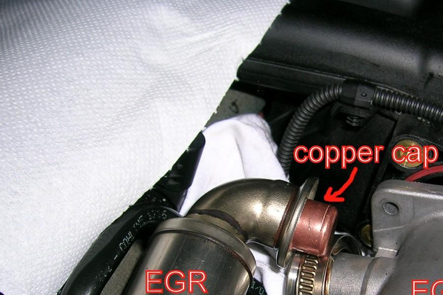 withcoppercap2fm5.jpg