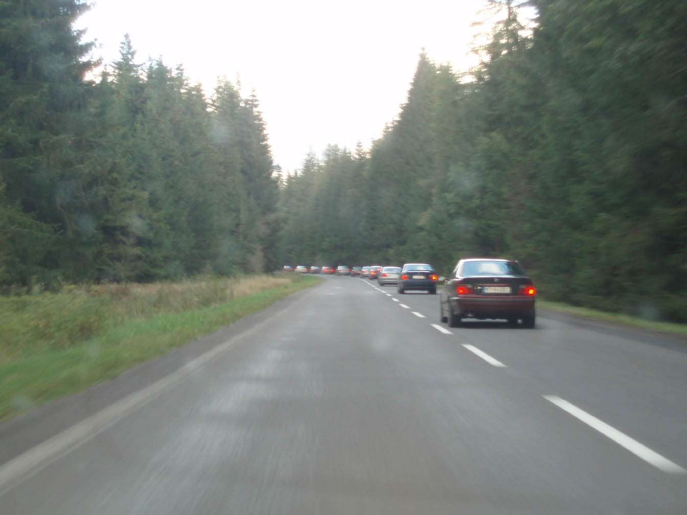 p9150449_185.jpg