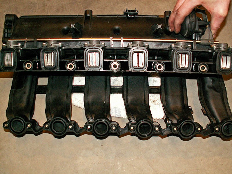 lappa09.jpg