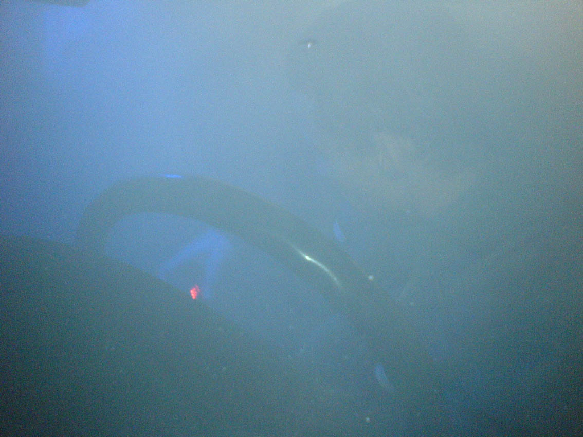 DSC08915.JPG